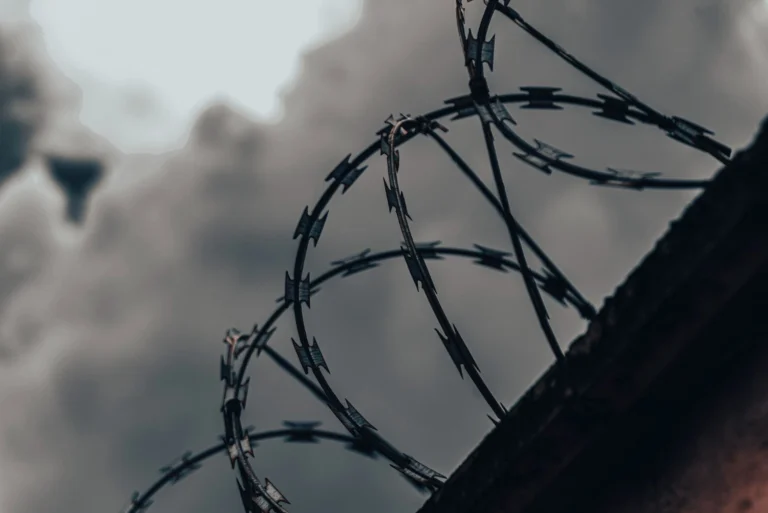 Totalitarianism