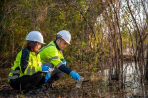 Two people in hard hats and high-visibility jackets collect a water sample beside trees in a wetland.
